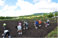 カサラファームでナタネの種まきが行なわれました