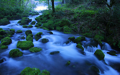 木谷沢渓流