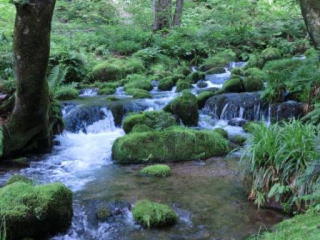 木谷沢