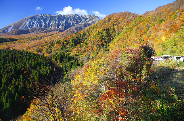 鍵掛峠　七色の紅葉