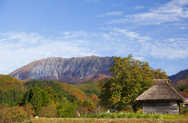 御机地区　茅葺屋根　奥大山の紅葉と柿の木