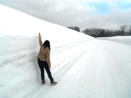 雪の壁