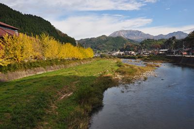 銀杏並木と大山