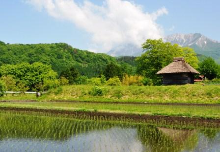 茅葺小屋と大山