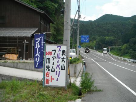 ブルーベリー　看板