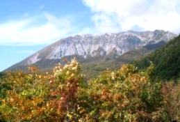 大山(だいせん)と右は烏ヶ山(からすがせん)