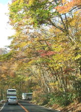 2009.11.6 奥大山ブナのトンネル