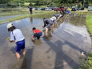 240509田植え (19).jpg