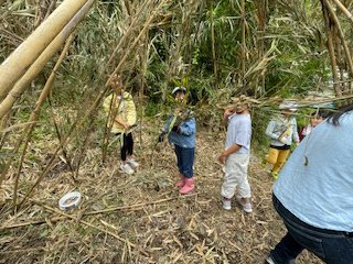 IMG_1554.jpg