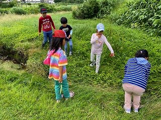 240713草花観察会 (143).jpg
