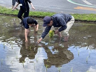 240509田植え (15).jpg