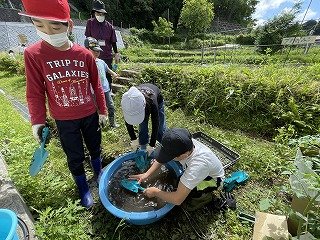 230524いも苗植え (17).jpg