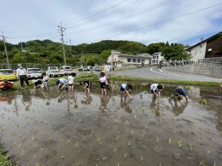 220510田植え5年 (24).jpg