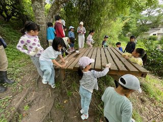 IMG_1549.jpg