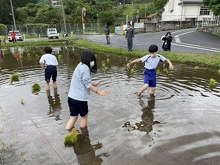 230508　田植え (9).jpg