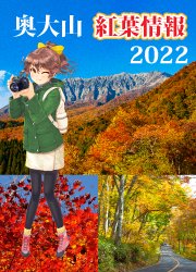 紅葉情報2022