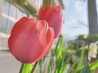 IMG_20210402_075354-1.jpg