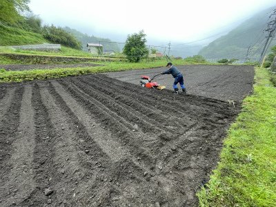 IMG_0324.jpg