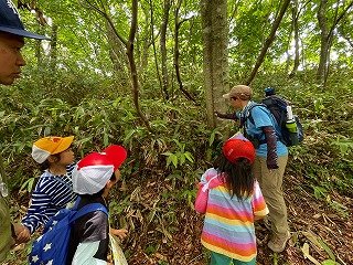 240713草花観察会 (78).jpg
