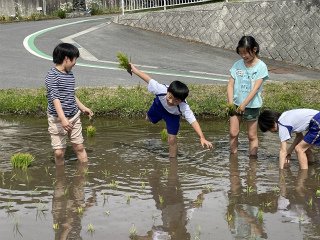 220510田植え5年 (38).jpg