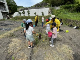 IMG_0881.jpg