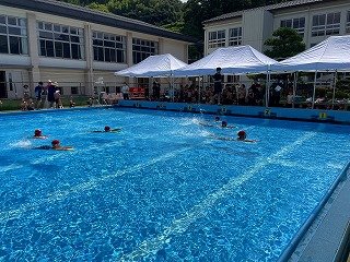 250718校内水泳記録会 (2).jpg