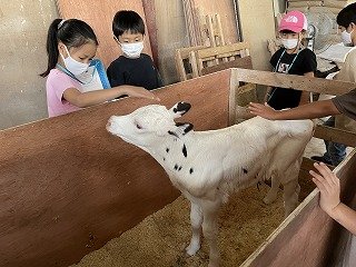 IMG_9882.jpg