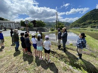 240509田植え (3).jpg