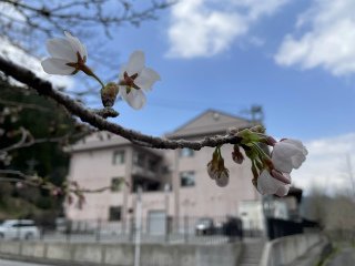 IMG_7455.jpg