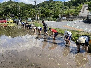 240509田植え (22).jpg