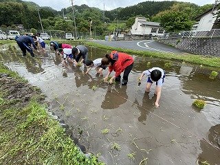 230508　田植え (17).jpg