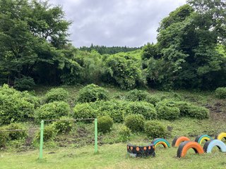 IMG_6830.JPG