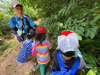 240713草花観察会 (90).jpg