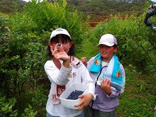 100_9787.jpg