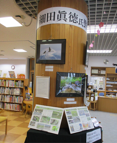 細田眞徳氏野鳥写真展の開催について