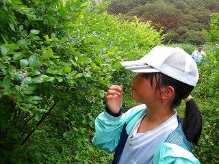100_9751.jpg