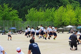 250518体育祭 (440).jpg