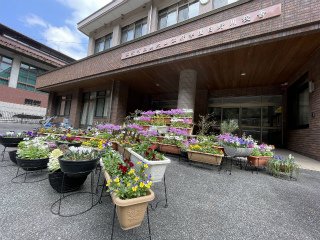 IMG_7456.jpg