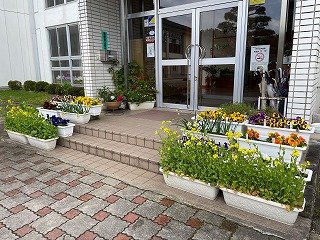 IMG_7449.jpg