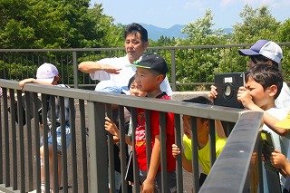 IMG_6976.jpg