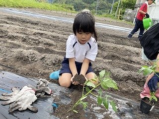 240515苗植え2年 (5).jpg