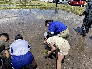 240509田植え (30).jpg