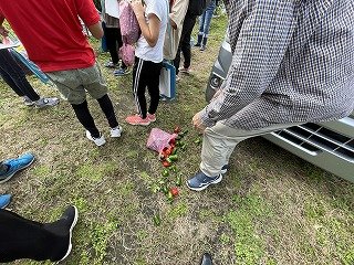 IMG_9915.jpg