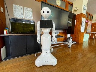 250406ペッパー.jpg