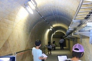 IMG_6981.jpg