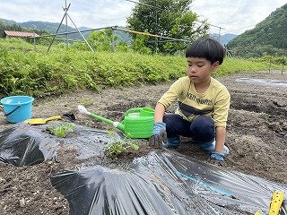 240515苗植え2年 (8).jpg