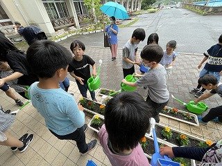 230608人権の花 (65).jpg