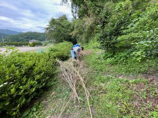 IMG_1547.jpg