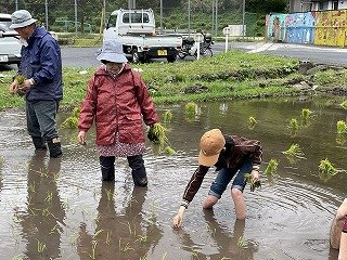 230508　田植え (19).jpg