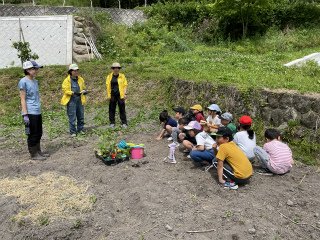 IMG_0867.jpg